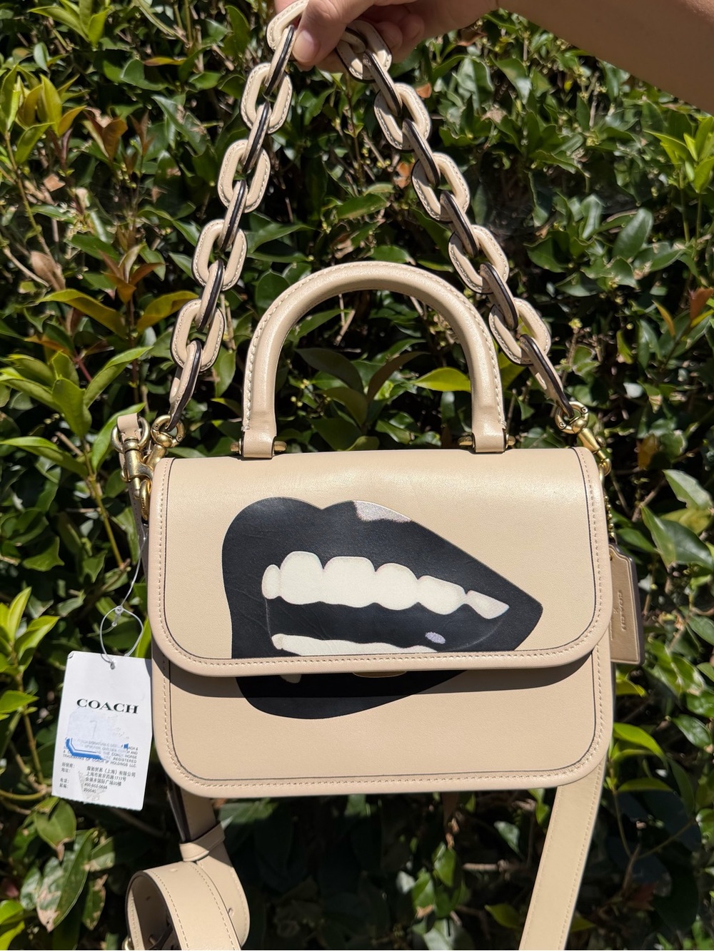 NWT Coach X Tom Wesselmann Rogue Top Handle CA123